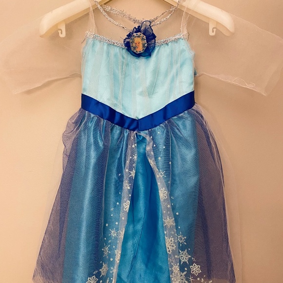 Frozen Disney Princess Costume - Picture 1 of 1